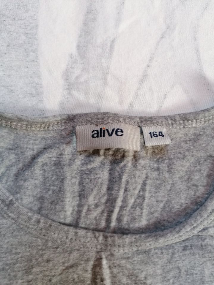 alive Basic T-Shirt 164 hellgrau meliert in Paderborn