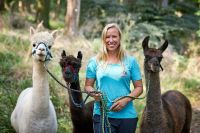 Alpaka/Lama Wanderung Sachsen-Anhalt - Querfurt Vorschau