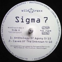 ⭐️1995 Hard Trance 12“⭐️Sigma 7 - Anthology Of Agony Bayern - Graben (Lechfeld) Vorschau