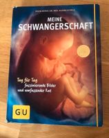 Schwangerschaft Tag für Tag mit tollen Fotos Dresden - Gruna Vorschau