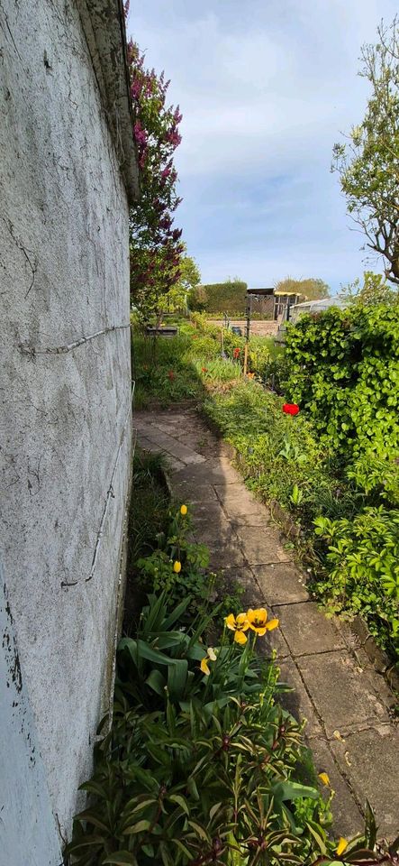 Sonniger Garten Krösnitz in Schwerin