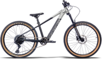 Jugend/Kinde E-Bike E-MTB Eightshot Loamer 24 gray Essen - Essen-Stadtmitte Vorschau