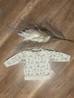 Baby Junge Pullover Saarland - Homburg Vorschau