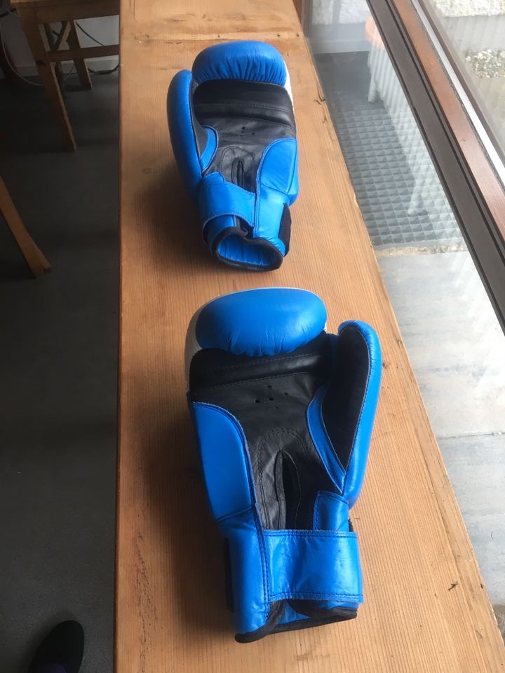 Boxhandschuhe in Sindelfingen