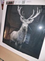 Wandbild Hirsch Brandenburg - Trebbin Vorschau