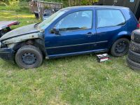 Vw Golf 4 1.4 an Bastler Schleswig-Holstein - Brammer Vorschau