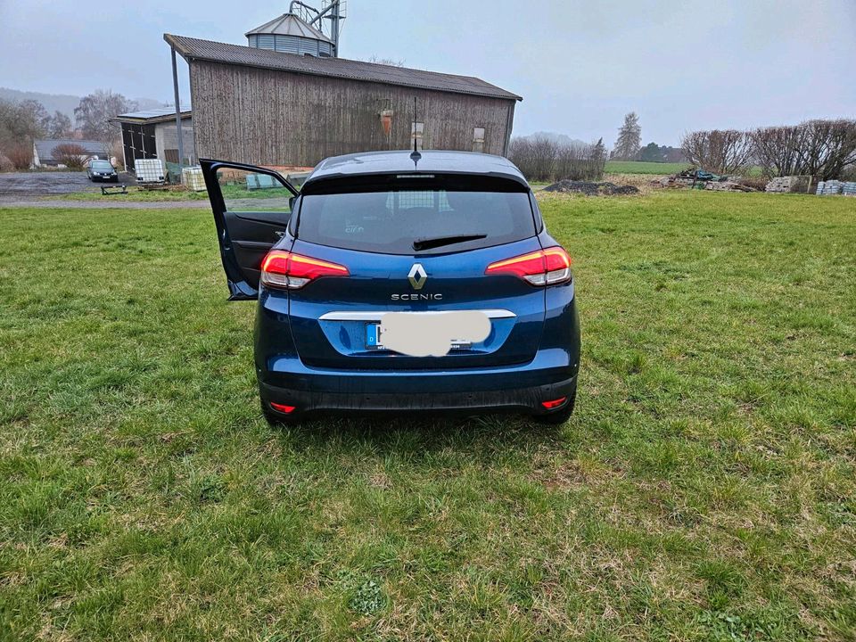 Renault Scenic Bose Edition in Schwalmstadt