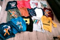 Pullover Langarmshirt Gr.140 Set H&M C&A S'Oliver Ninjago Dino Thüringen - Bad Colberg-Heldburg Vorschau