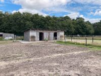 Offenstallplatz für Wallach, Spezialfütterung möglich Niedersachsen - Wardenburg Vorschau