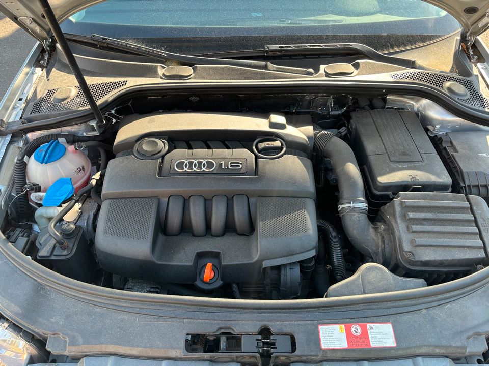 Audi A3 1,6 in Windhagen