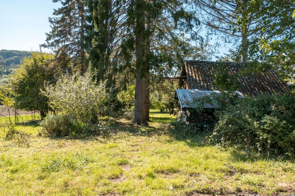 Haus in Alleinlage mit riesigem Traum-Grundstück in Gersheim
