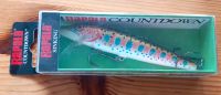 Rapala Countdown CD-11 Wobbler Rainbow Trout *NEU&OVP* Stuttgart - Sillenbuch Vorschau