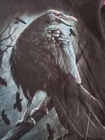 Shirt EMP Spiral Gothic Rabe Gr. XL Dresden - Langebrueck Vorschau