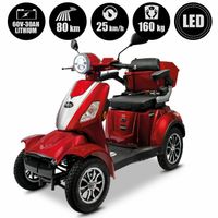 Neu 25 km/h Rolektro Elektromobil E-Quad 25 V.3 Lithium 60V-30Ah Baden-Württemberg - Stockach Vorschau