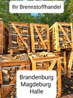 Kaminholz Brennholz ofenfertig Holz Buche Briketts Sachsen-Anhalt - Magdeburg Vorschau