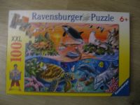 Ravensburger Puzzle 100 Teile XXL Bunter Ozean Tiere Kr. Dachau - Dachau Vorschau