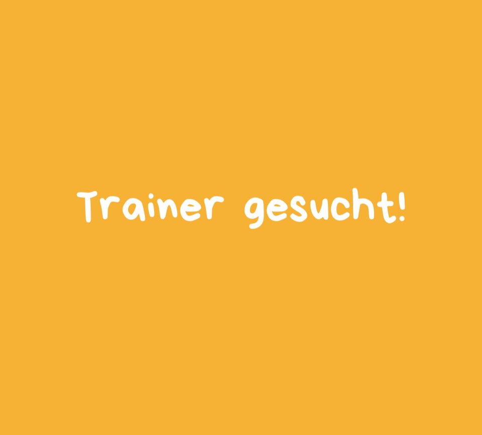 Übungsleiter / Trainer Kindersport gesucht! in Ichtershausen