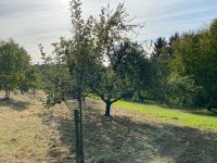 Wiese Garten Gartengrundstück Baden-Württemberg - Kohlberg Vorschau