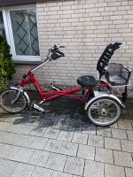 Elektro-Dreirad van Raam Easy Rider Silent HT in rot Nordrhein-Westfalen - Selm Vorschau
