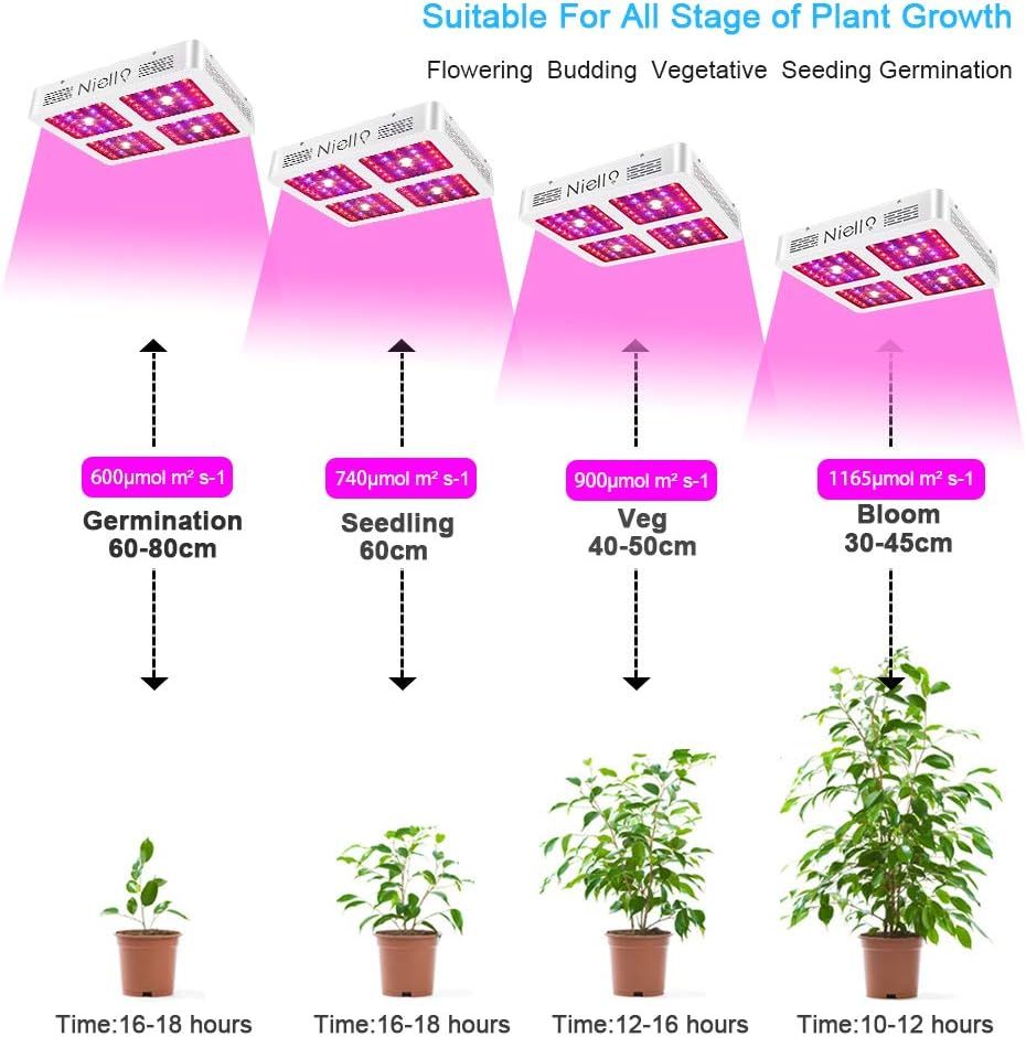 LED Pflanzen Wachstums Lampe Vollspektrum Niello 245 Watt Leistun in Castrop-Rauxel