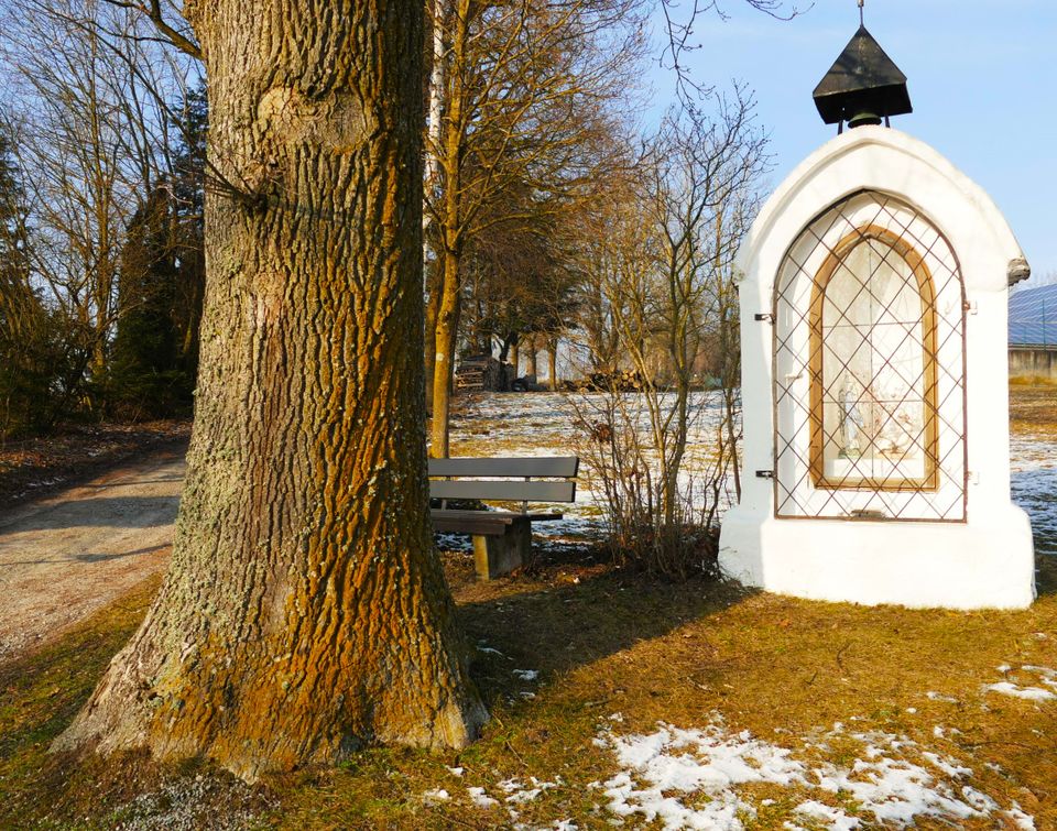 Ein Traumhaus für Individualisten: luxuriöses Wohnen für Großfamilien mit Gewerbeeinheit in Tittling in Tittling