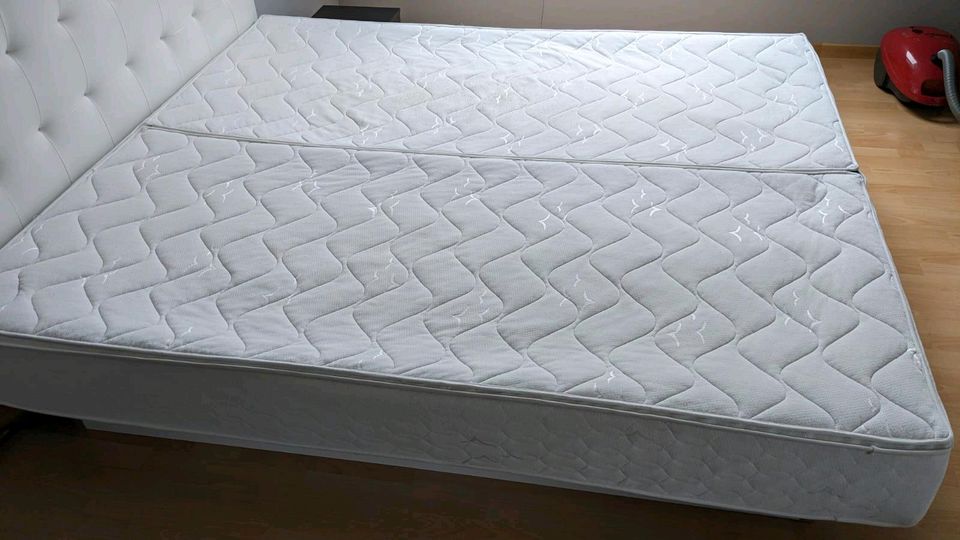 Wasserbett Traumreiter 180cm x 200cm in Gerhardshofen