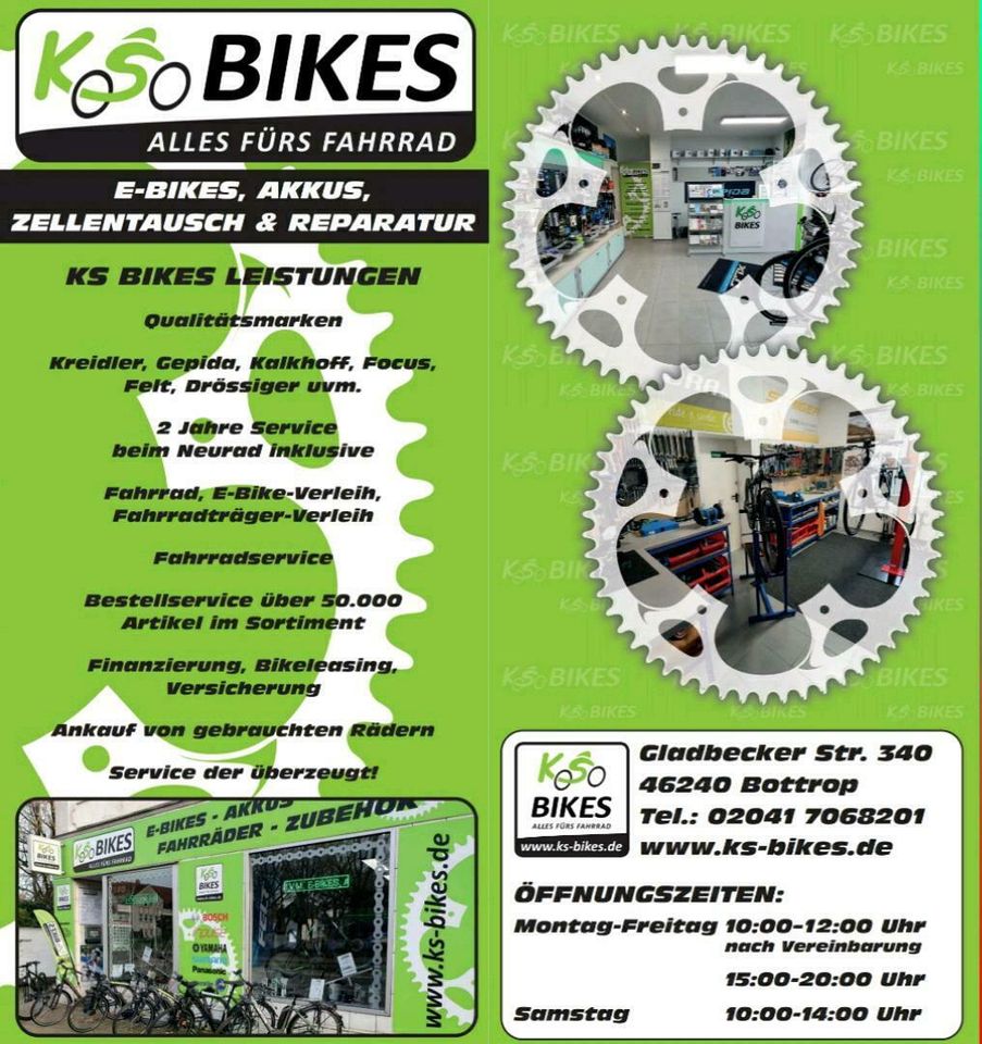 Brose E-Bike Inspektion Service Update Kapazitätstest Abholung in Bottrop