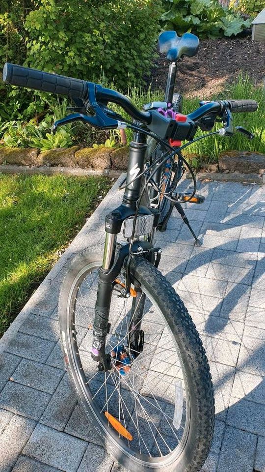 Specialized Mountain Bike 26 Zoll in Zweibrücken