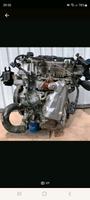 Opel Karl Motor inkl. Anbauteile Niedersachsen - Nienburg (Weser) Vorschau