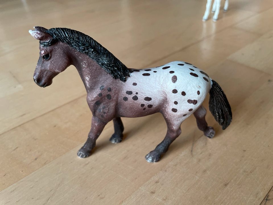 Schleich Pferde in Braunschweig