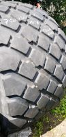 750/50R26 Michelin Megaxbib  750/50/26 Niedersachsen - Delmenhorst Vorschau