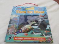 Die Entdeckerlampe - Tiere im Meer: Leuchten, staunen,entdecken Brandenburg - Hosena Vorschau