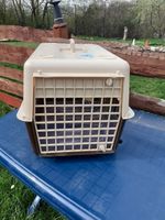 Hundebox Katzenbox Transportbox Autobox Plastik 55x45x43cm Rheinland-Pfalz - Nieder-Olm Vorschau