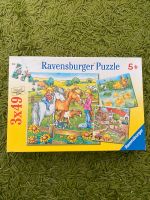 Verschiedene Puzzle +Spiele ab 1,50€ (Ravensburger, Disney etc.) Niedersachsen - Emmerthal Vorschau