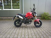 Romet Pony 50ccm Mofa 25km/h rot Nordrhein-Westfalen - Langenfeld Vorschau