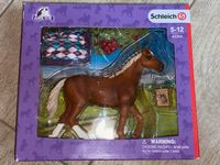 Schleich 42360 Englisches Vollblut Set Horse Club TOP in OVP Hude (Oldenburg) - Nordenholz Vorschau