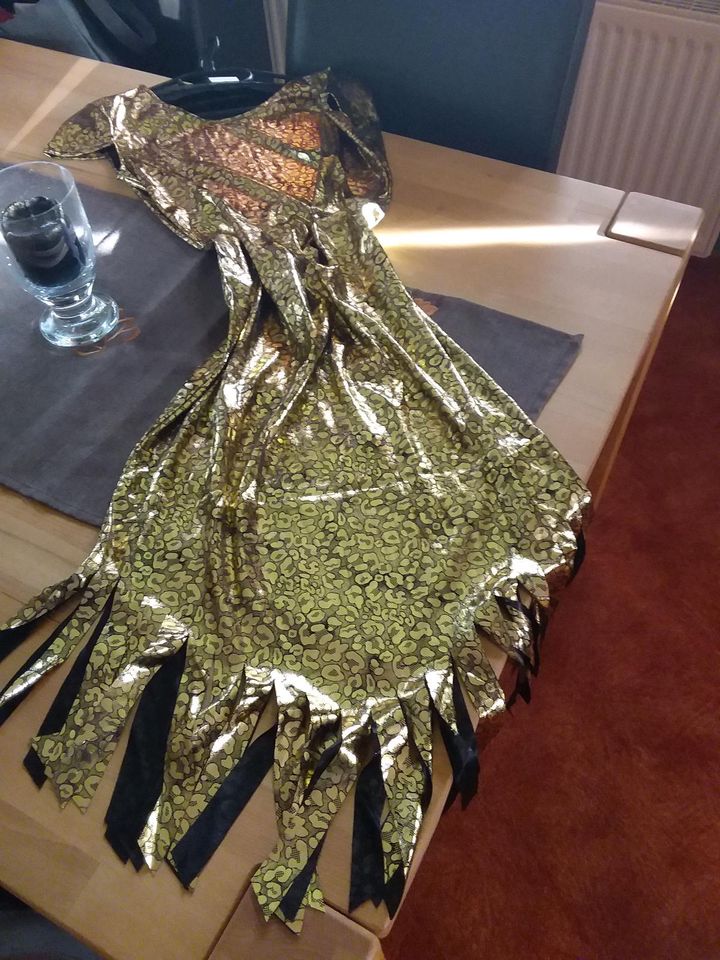 Fasching, Tina Turner Kleid mit Fransen Gr.M neu in Edemissen