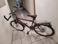 Herren Fahrrad Mountainbike 46cm / 26" Hessen - Mühlheim am Main Vorschau