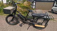E-Bike Cargo Longtail Randwagon 4 Niedersachsen - Springe Vorschau