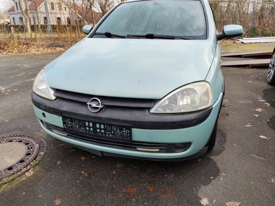 Opel Corsa C 1,4 Motorschaden in Westoverledingen