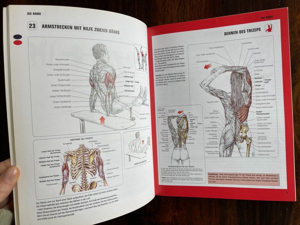 Buch Der neue Muskelguide Anatomie in Heinbockel