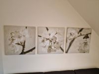 Pjätteryd Bilder von Ikea , Kirschblüten 3-er Set Schleswig-Holstein - Winsen Vorschau