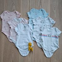 6x Body kurzarm Gr. 62 C&A Babyclub Regenbogen Mädchen Dresden - Dresden-Plauen Vorschau