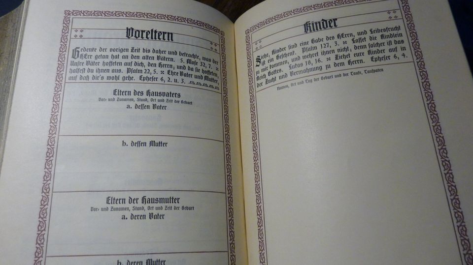 Bibel von 1912 geprägter Einband guter Zustand,Schuber in Gemünden