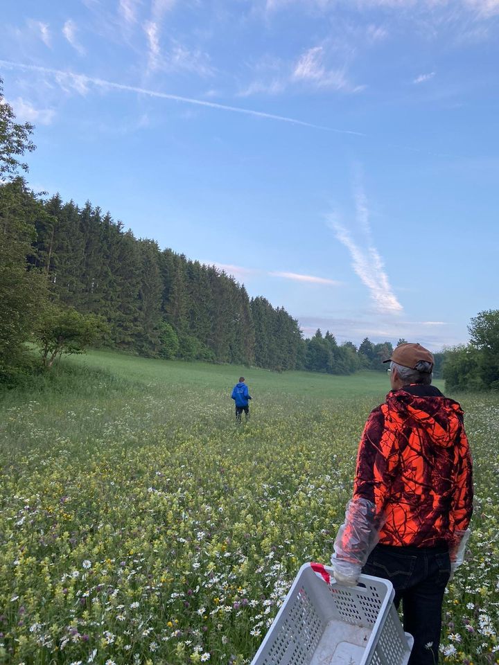 REHKITZRETTUNG mit Drohnen im Raum Münsingen / Lkr. Reutlingen in Münsingen