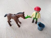 Playmobil 4647 Junge mit Fohlen, wie NEU Baden-Württemberg - Emmendingen Vorschau