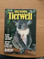 Zeitschrift „Sielmanns Tierwelt,, Nr. 11, 1977 Kiel - Schreventeich-Hasseldieksdamm Vorschau