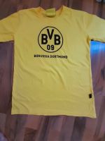 BVB T Shirt Hessen - Lohfelden Vorschau