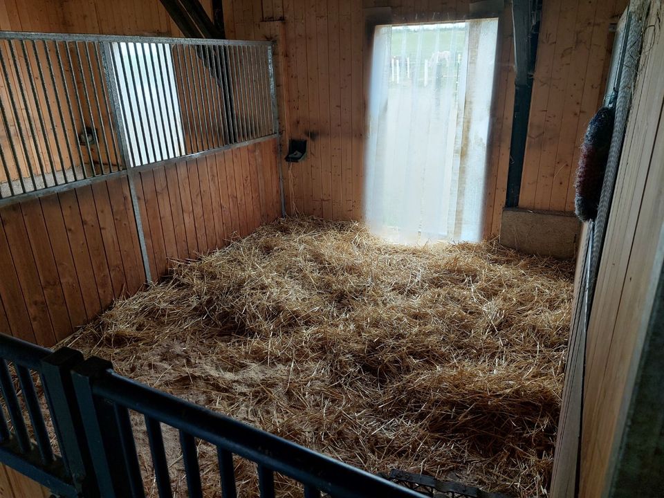 Österreich, Waldviertler Streckhof, Nebengebäuden, Pferdehaltung in Wahrenberg