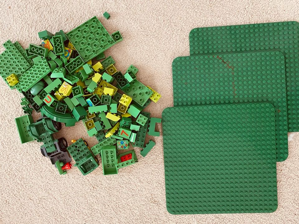 Lego Duplo Mega Sammlung in Dachau
